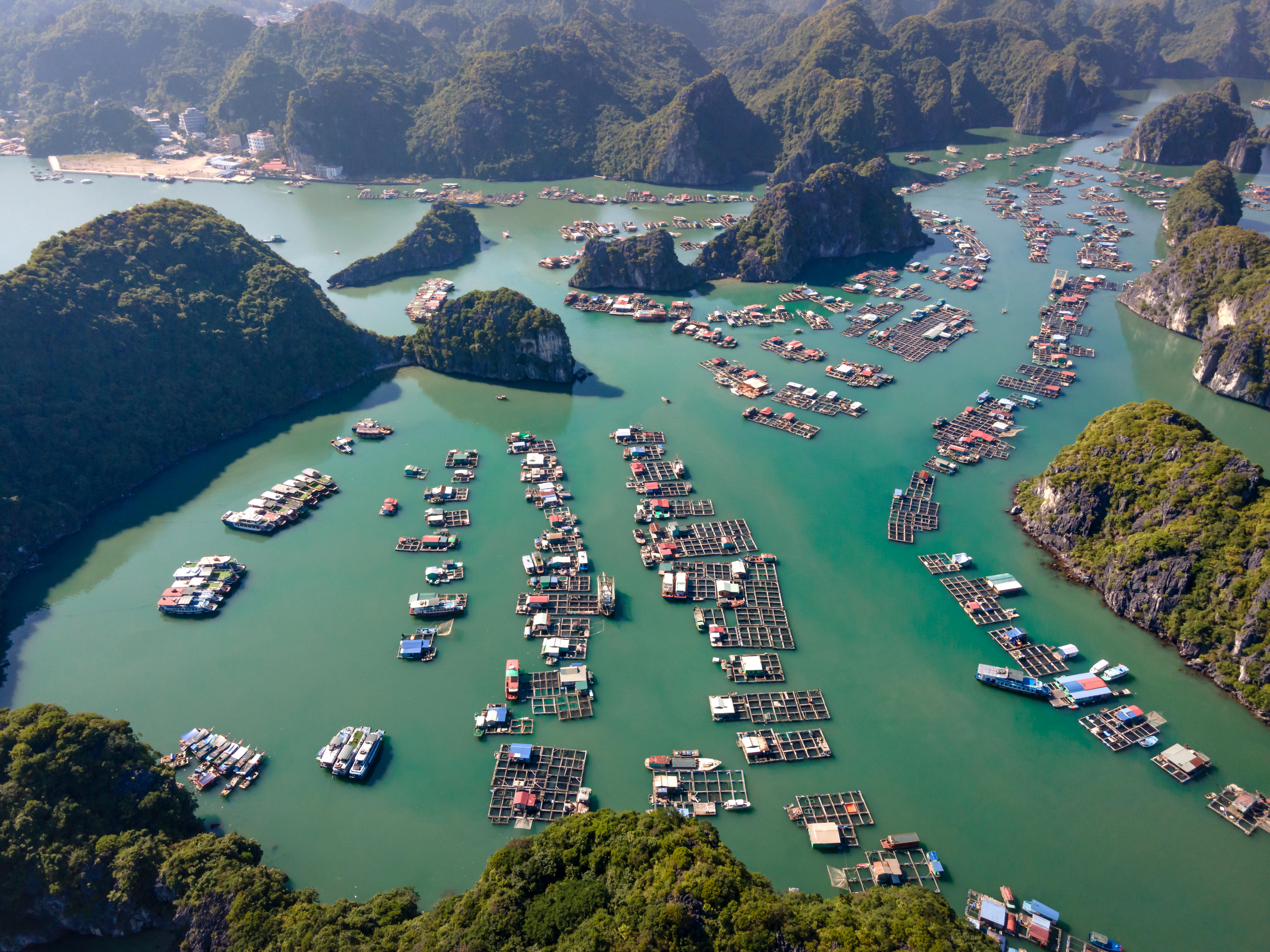 Ha Long Bay - Floating Village