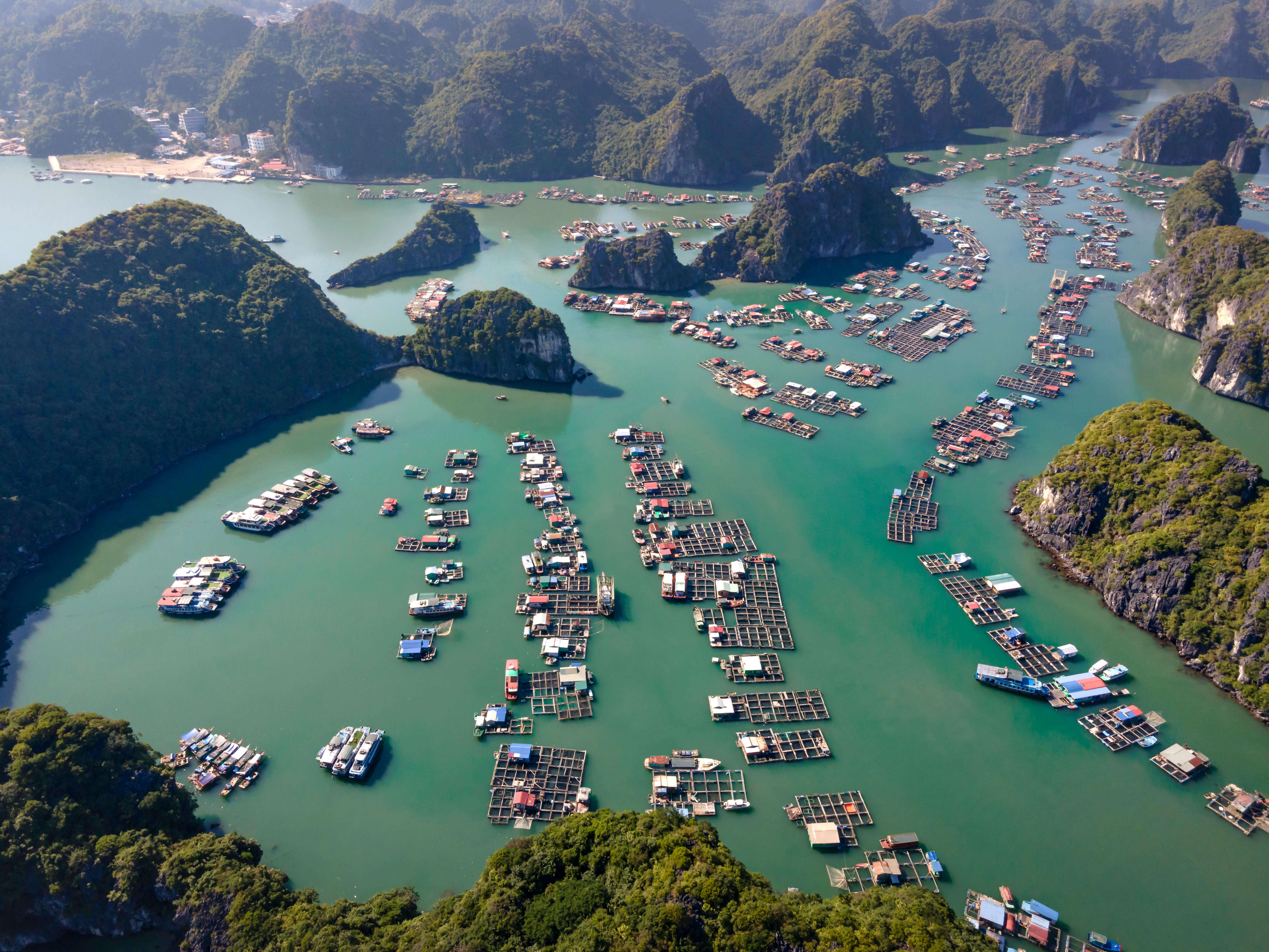 Ha Long Bay - Floating Village