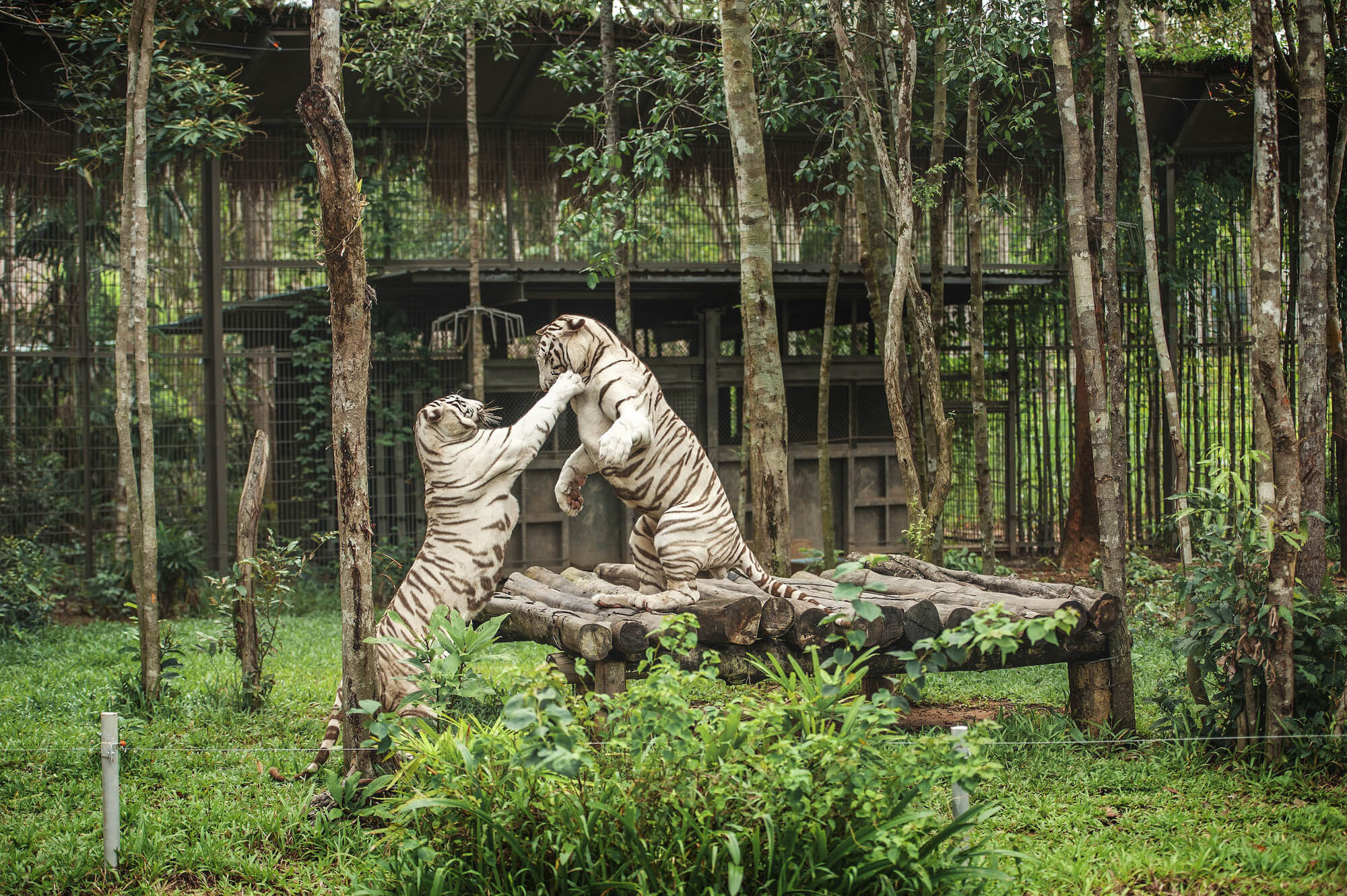 Vinpearl Safari Phu Quoc