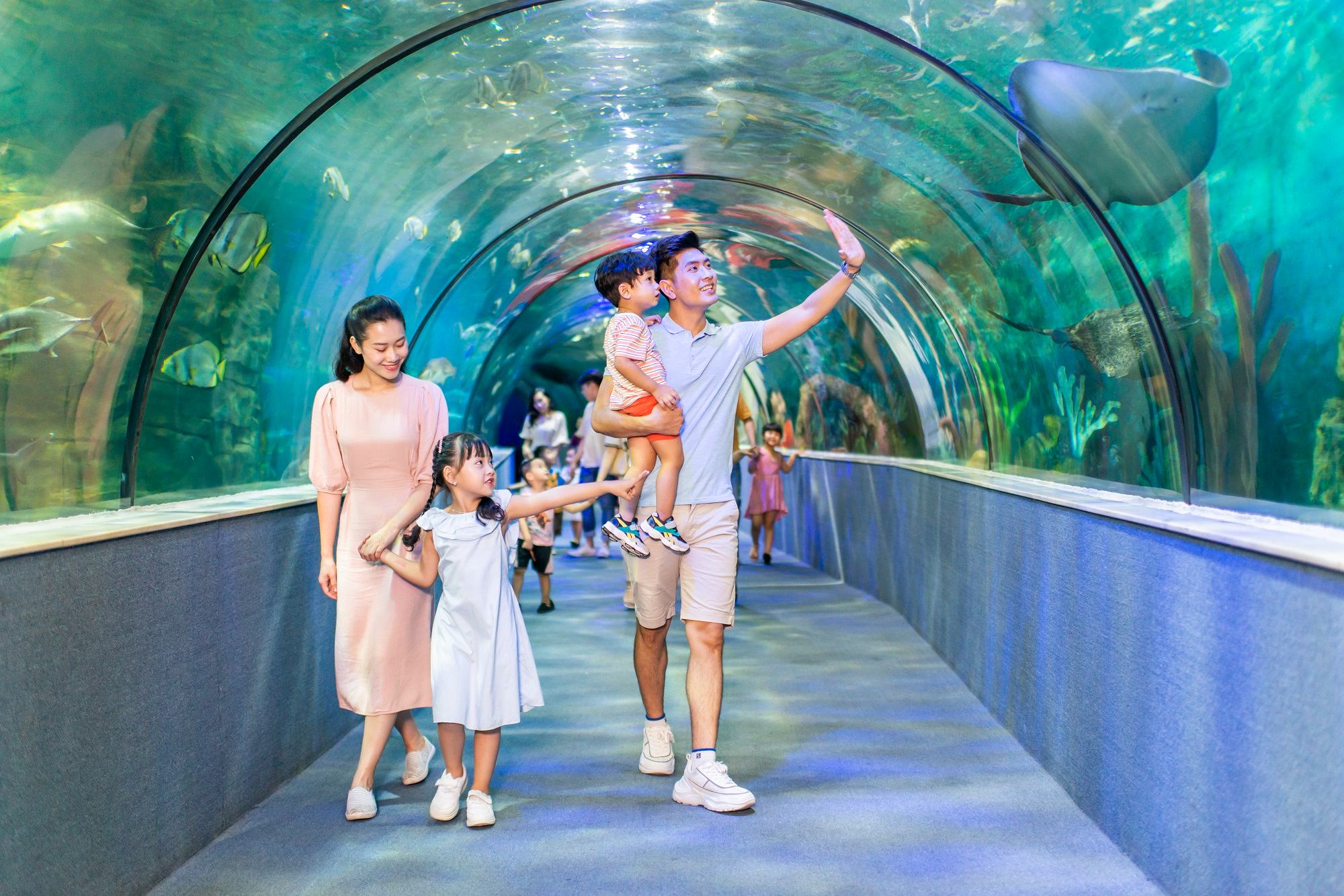 Phu Quoc - Vin Wonder Turtle Aquarium