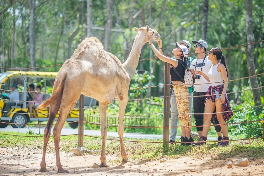 Phu Quoc - Vin Safari